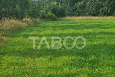 Teren pretabil cabana sau gradina 1670 mp zona deosebita Sib - 1