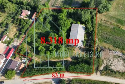 Hala cu 8.318 mp teren intravilan in Petresti, Sebes, Alba