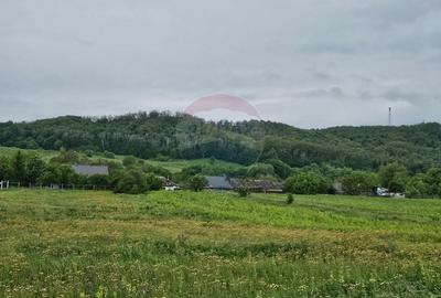 Teren Construcții intravilan de 1495 mp, în Dobreni - 4
