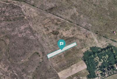 Teren extravilan de 10.000 mp - 3