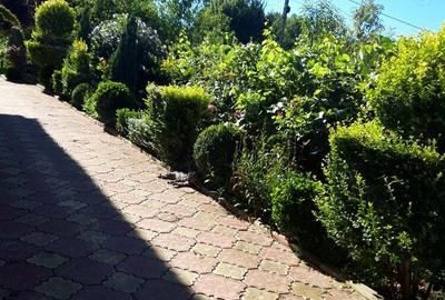 Casa de vanzare in ciuperceni Stramba Vulcan Gorj - 5