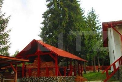 Cabana de vanzare, 8 camere,teren 1500 mp, zona Colibita-Malul Lacului - 2