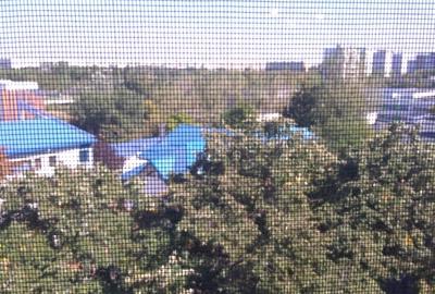 Camil Ressu, Park Lake, Piata Ramnicu Sarat - 9