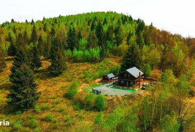 Casă cu 4 camere în Plopi - 14