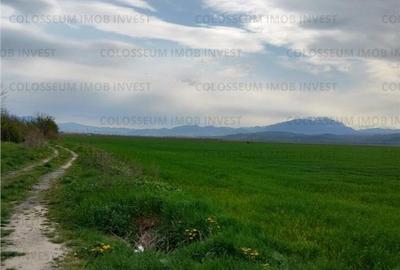Teren de 20000 mp, în Cristian