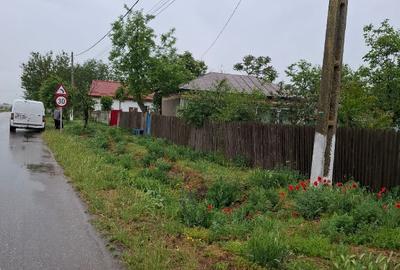 Casa in Sat Segarcea Deal jud. Teleorman - 7