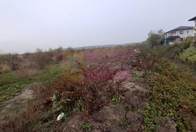 Teren agricol extravilan de 5000 mp, în Corbeanca - 3