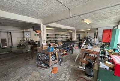 Spatiu comercial de inchiriat - 36