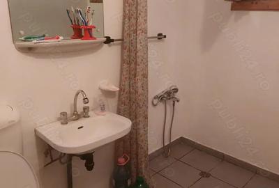 Casa de vacanta Colibita - 5