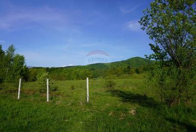 Teren Construcții intravilan de 38592 mp, în Sud-Vest - 18