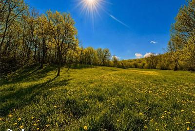 Casă cu 2 camere cu Teren 3400 Mp în Acățari - 11