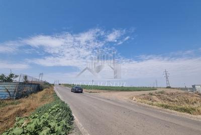 TEREN HALA -langa ferma Stoian - 2