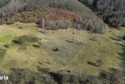 Teren de 16466 mp, în Desești - 11