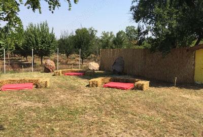 Inchiriez magazin alimentar si bar in loc. Sarbova-Timis - 7