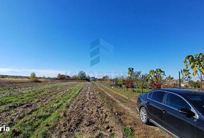 Spațiu comercial, în Corbeanca