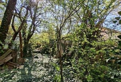 Casă cu 2 camere cu Teren 871 Mp în Grigorescu - 10