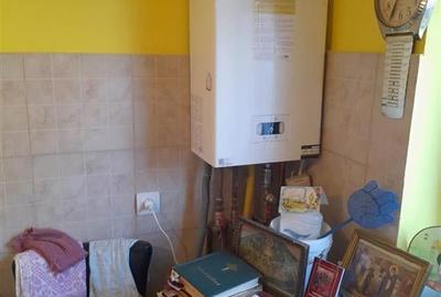 Casa Individuala Mehala - 10