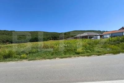 Teren de 4900 mp, în Central