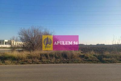 Sabareni, teren intravilan 8800 mp, pe DJ 602, pretabil... Sabareni, teren intravilan 8800 mp, pe DJ 602, pretabil... - 1