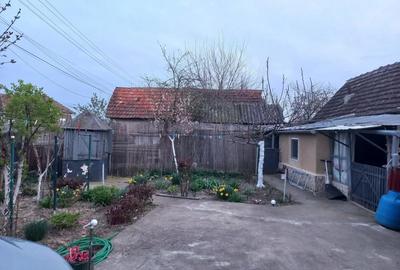 Casă cu 3 camere în Bocsig - 6