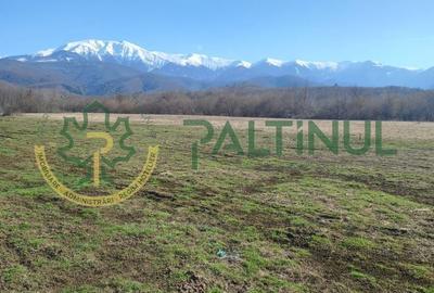 Teren de 1737 mp, în Chirpăr - 5