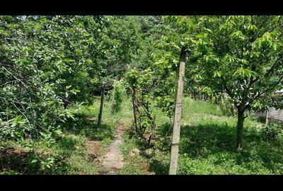 Casă cu 2 camere în Lipova - 1