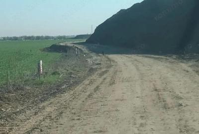 Teren de Investitie 500 mp, deschidere 25m, langa padurea de tei, Ordoreanu Teren de Investitie 500 mp, deschidere 25m, langa padurea de tei, Ordoreanu - 8