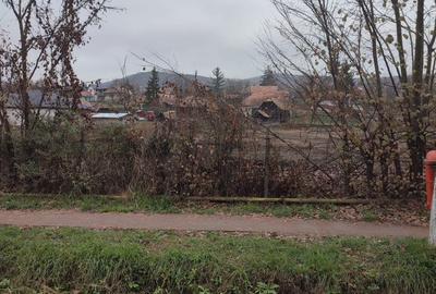 Teren de 3000 mp, în Mădăraș - 6