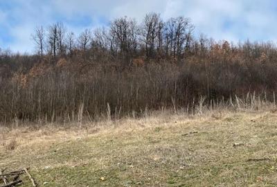 Casa, Valea Mare, Stefanesti, 65000 euro - 4