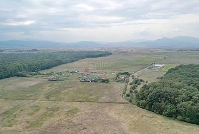 Teren Extravilan - 23