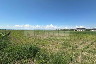 Teren agricol extravilan de 5300 mp, în Frătăuții Vechi - 2
