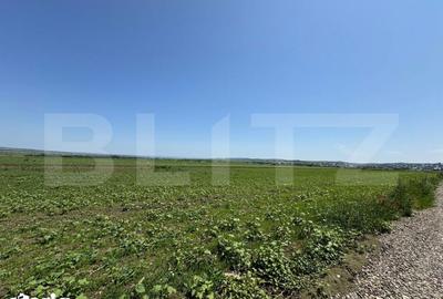 Teren de 608 mp, în Ipotești - 1