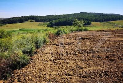 Teren de 2200 mp, în Chinteni - 10
