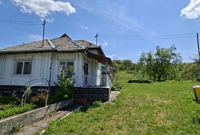 Casă cu 2 camere cu Teren 2000 Mp în Coaș - 7