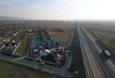 Teren intravilan 4.832 de vanzare Letea Veche - 2