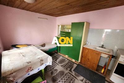 De vanzare casa 3 camere, 719mp teren, Cetate - 10