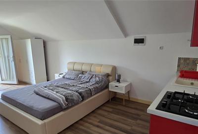 Casa de Vacanta la Munte - Dorna Arini! Vatra Dornei!! De ! - 13