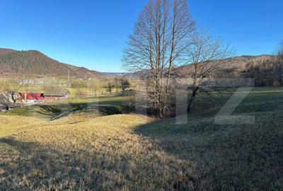 Teren intravilan, Buc?oaia - Frasin, 10000 mp - 3