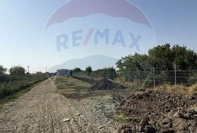 Hala de vanzare in Crevedia 240 mp utili teren 4.000 mp acces TIR - 12