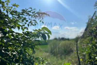 Teren intravilan 3.765 mp cu casa Bode?ti de Jos - 1