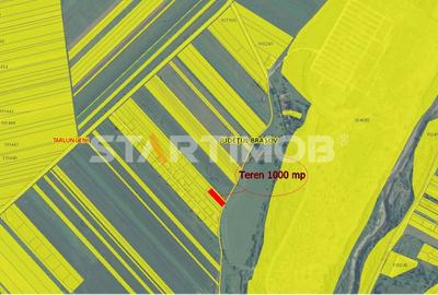 Teren Intravilan Tarlugeni - 3