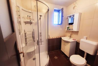 Vila superba din busteni si piatra pentru cei care doresc sa iasa din tipare ! - 7