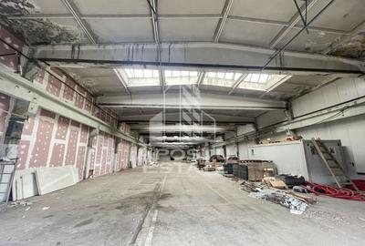 Hala depozitare, productie 1400 mp , platforma industriala, Buziasului - 1