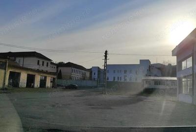 Teren de 3929 mp, în Cetate - 2