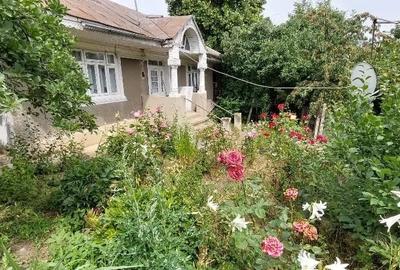 Teren de 8200 mp, în Albești - 2