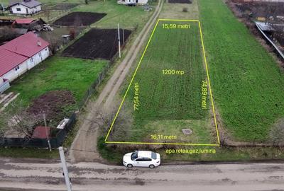 Teren Construcții intravilan de 1200 mp, în Vădurele (Alexandru cel Bun)