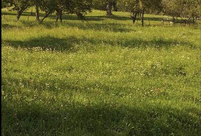 Spațiu comercial, în Moieciu - 1