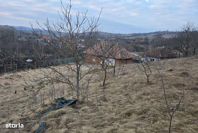 Casă cu 2 camere cu Teren 2900 Mp în Sânpaul - 2