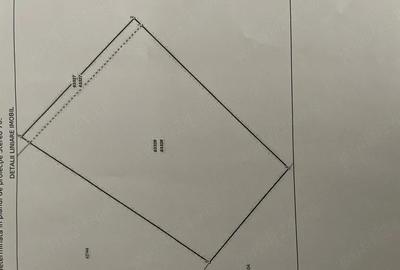 Teren de 586 mp, în Paleu - 4