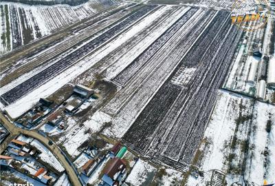 Spațiu comercial, în Dobolii de Jos - 8